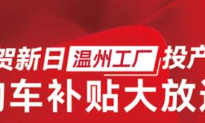 新日锂电嘉年华入场温州，工厂厂长带货现火爆名场面！